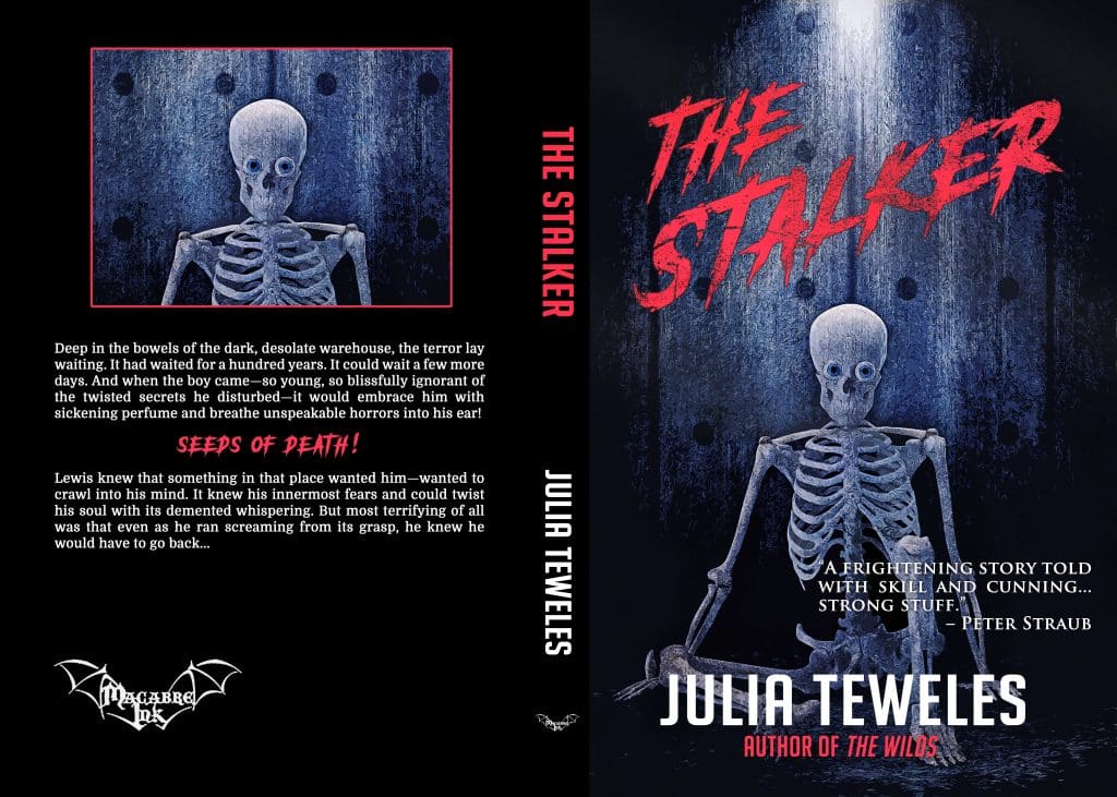 The Stalker - book by Julia Teweles